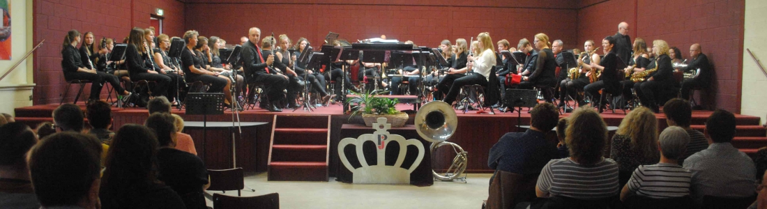 Succesvolle editie van HaFaBra concert